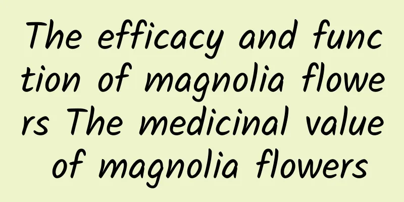 The efficacy and function of magnolia flowers The medicinal value of magnolia flowers