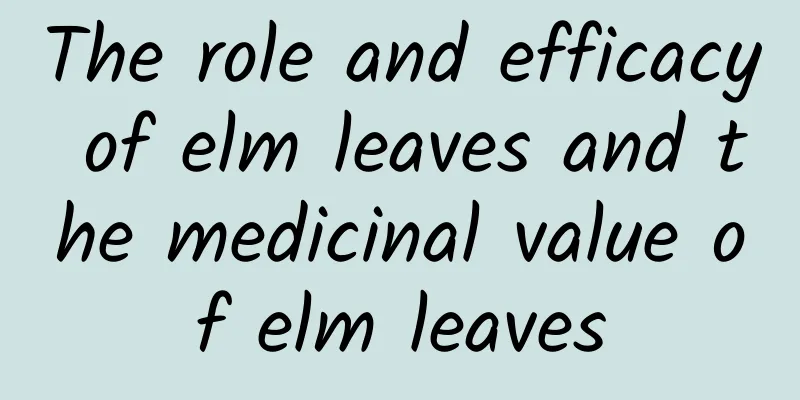 The role and efficacy of elm leaves and the medicinal value of elm leaves