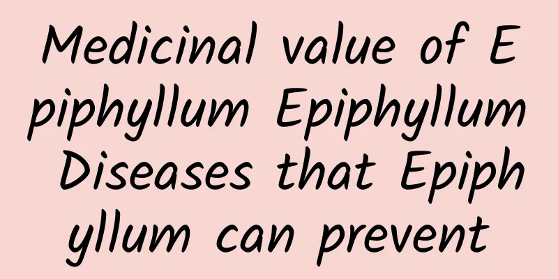 Medicinal value of Epiphyllum Epiphyllum Diseases that Epiphyllum can prevent