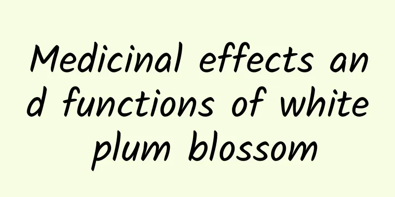 Medicinal effects and functions of white plum blossom