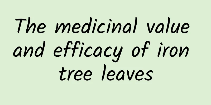 The medicinal value and efficacy of iron tree leaves