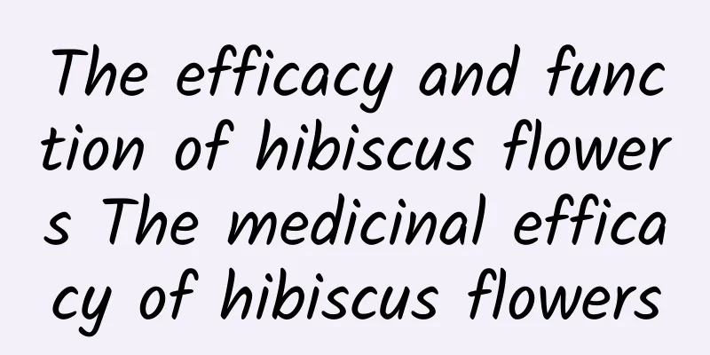 The efficacy and function of hibiscus flowers The medicinal efficacy of hibiscus flowers