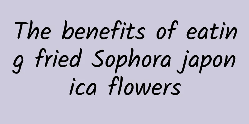 The benefits of eating fried Sophora japonica flowers