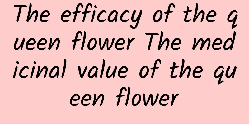 The efficacy of the queen flower The medicinal value of the queen flower