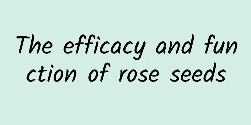 The efficacy and function of rose seeds