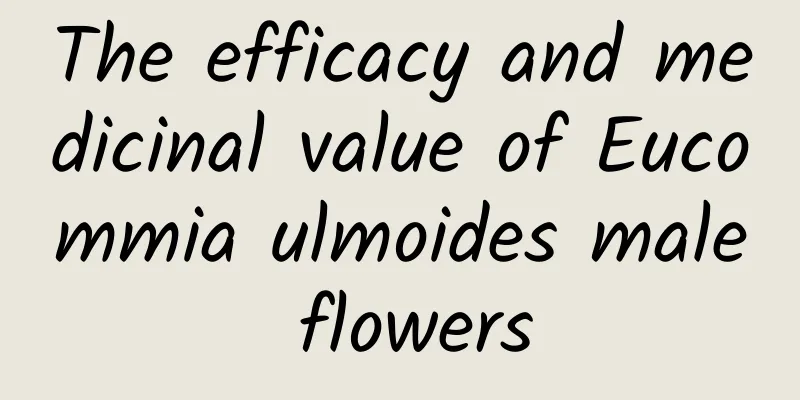 The efficacy and medicinal value of Eucommia ulmoides male flowers