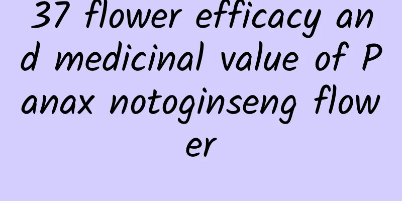 37 flower efficacy and medicinal value of Panax notoginseng flower