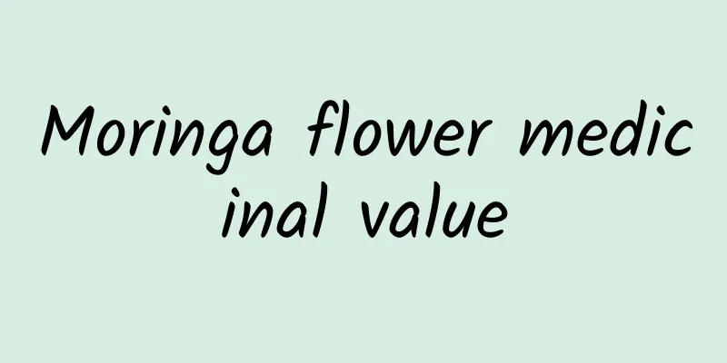 Moringa flower medicinal value