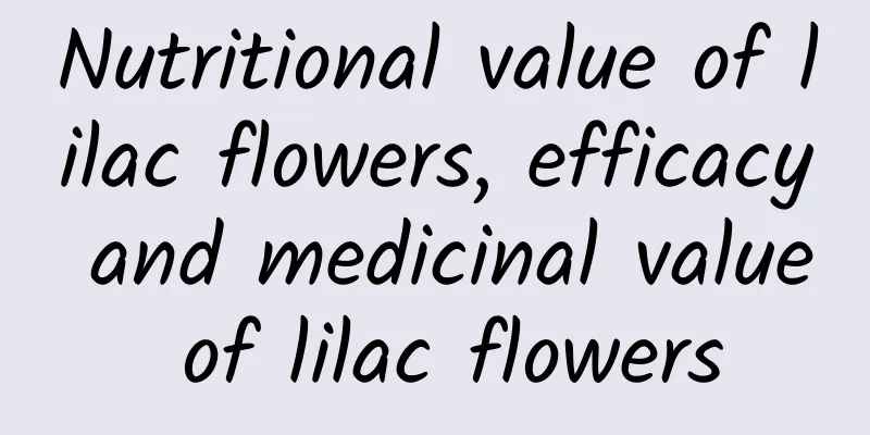 Nutritional value of lilac flowers, efficacy and medicinal value of lilac flowers