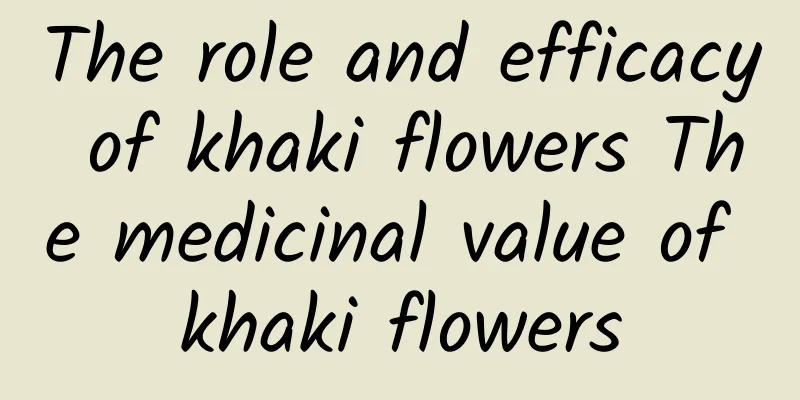 The role and efficacy of khaki flowers The medicinal value of khaki flowers