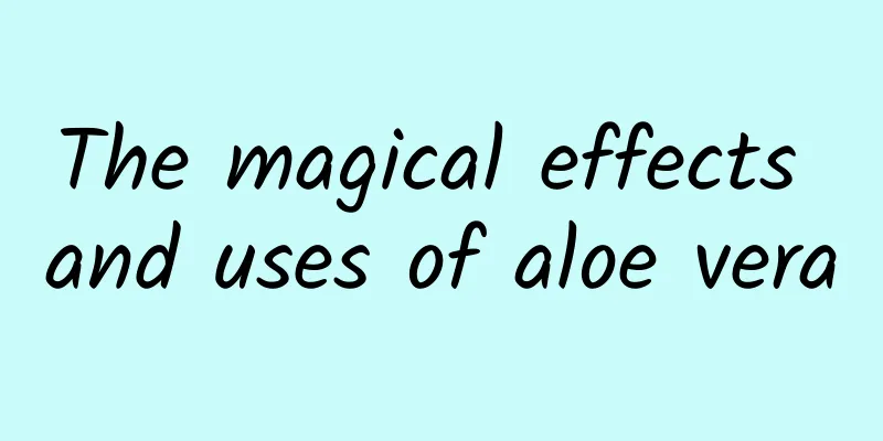 The magical effects and uses of aloe vera