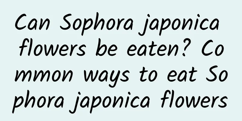 Can Sophora japonica flowers be eaten? Common ways to eat Sophora japonica flowers