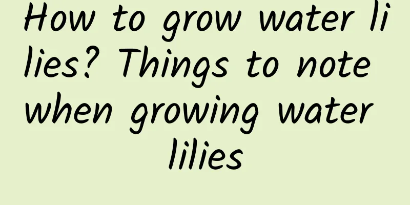 How to grow water lilies? Things to note when growing water lilies