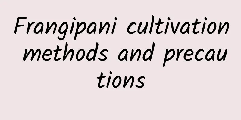 Frangipani cultivation methods and precautions