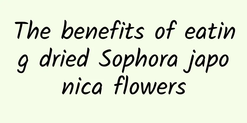 The benefits of eating dried Sophora japonica flowers