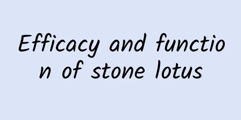 Efficacy and function of stone lotus