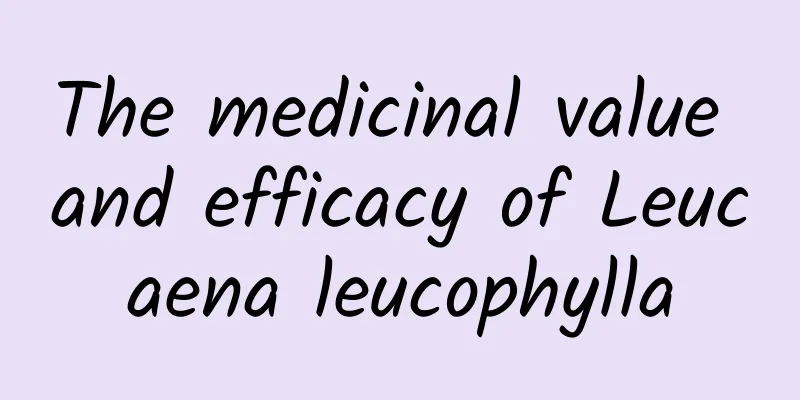 The medicinal value and efficacy of Leucaena leucophylla