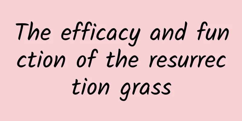 The efficacy and function of the resurrection grass