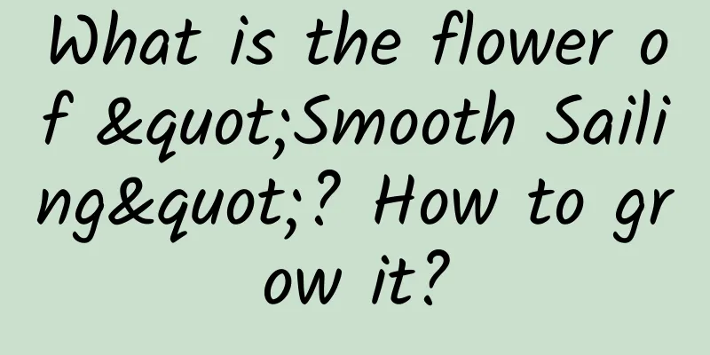 What is the flower of "Smooth Sailing"? How to grow it?