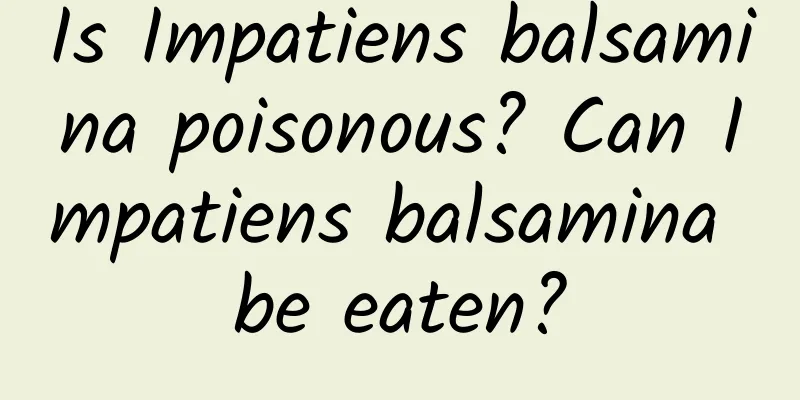 Is Impatiens balsamina poisonous? Can Impatiens balsamina be eaten?