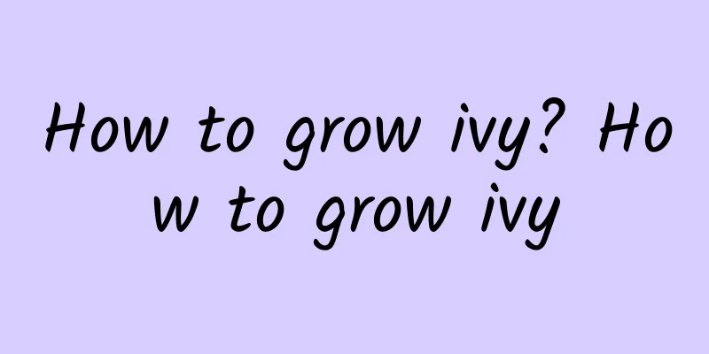 How to grow ivy? How to grow ivy