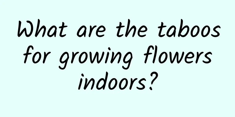 What are the taboos for growing flowers indoors?