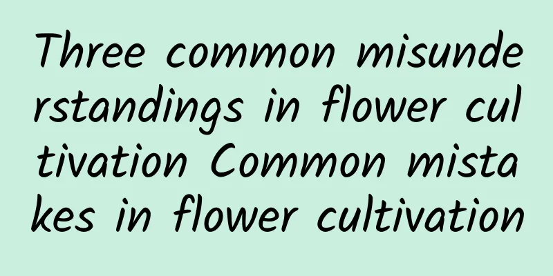 Three common misunderstandings in flower cultivation Common mistakes in flower cultivation