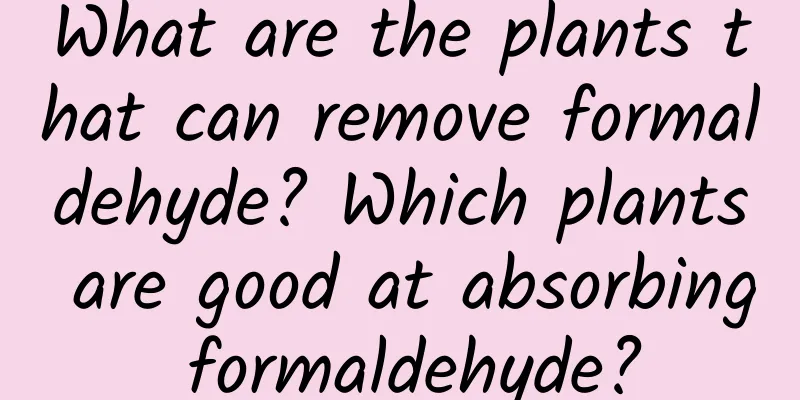 What are the plants that can remove formaldehyde? Which plants are good at absorbing formaldehyde?