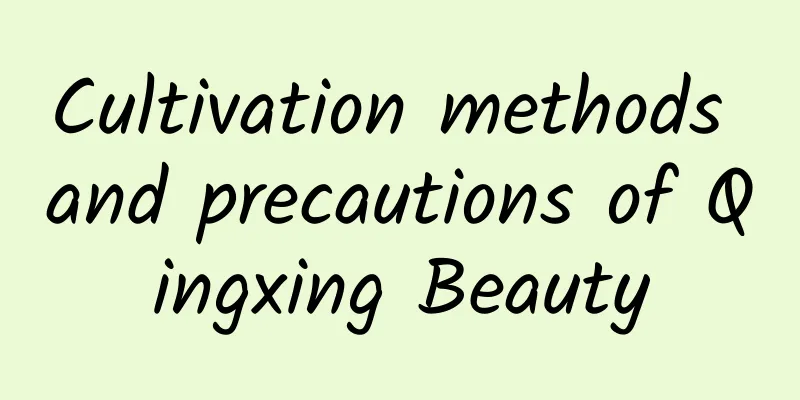 Cultivation methods and precautions of Qingxing Beauty