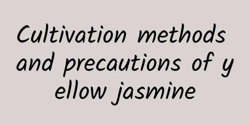 Cultivation methods and precautions of yellow jasmine