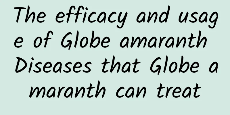 The efficacy and usage of Globe amaranth Diseases that Globe amaranth can treat