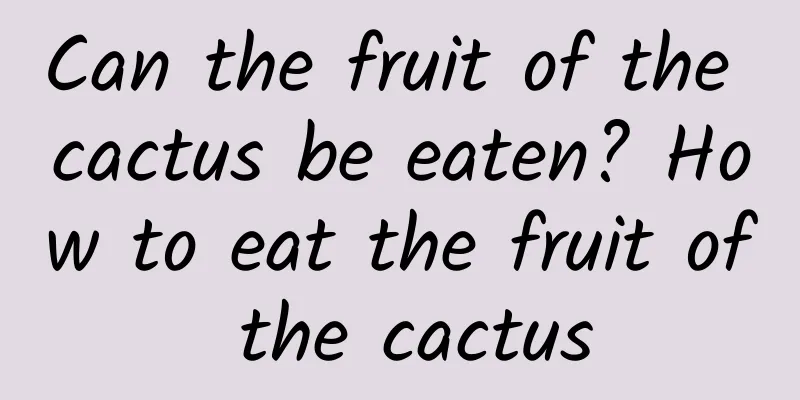 Can the fruit of the cactus be eaten? How to eat the fruit of the cactus