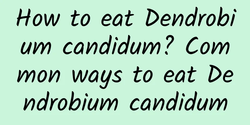 How to eat Dendrobium candidum? Common ways to eat Dendrobium candidum