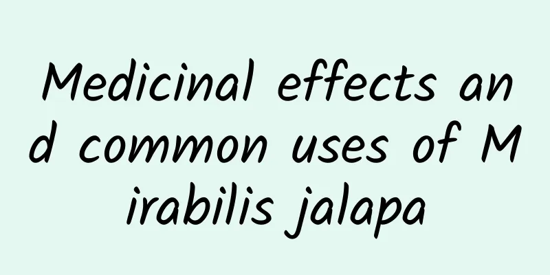 Medicinal effects and common uses of Mirabilis jalapa