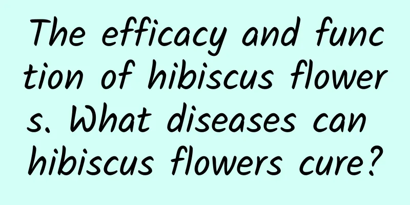 The efficacy and function of hibiscus flowers. What diseases can hibiscus flowers cure?