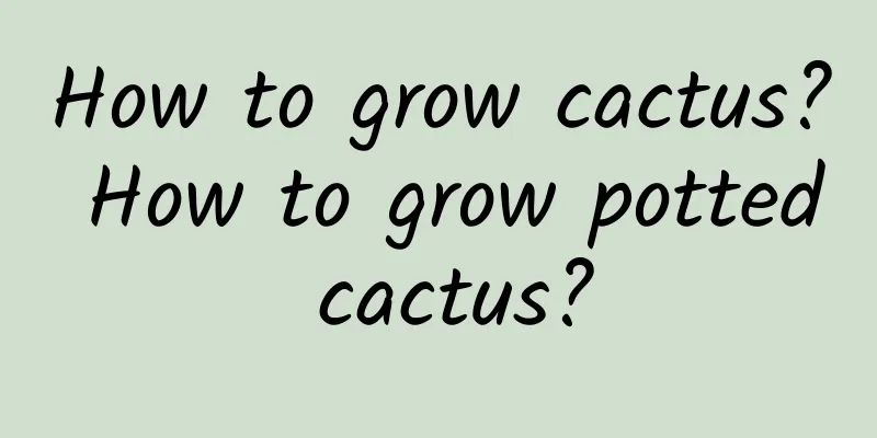 How to grow cactus? How to grow potted cactus?