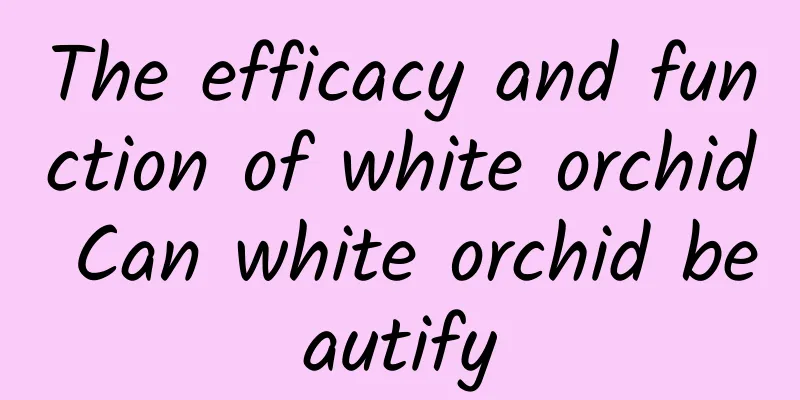 The efficacy and function of white orchid Can white orchid beautify