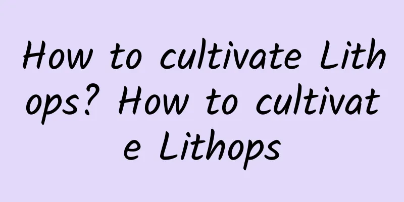 How to cultivate Lithops? How to cultivate Lithops