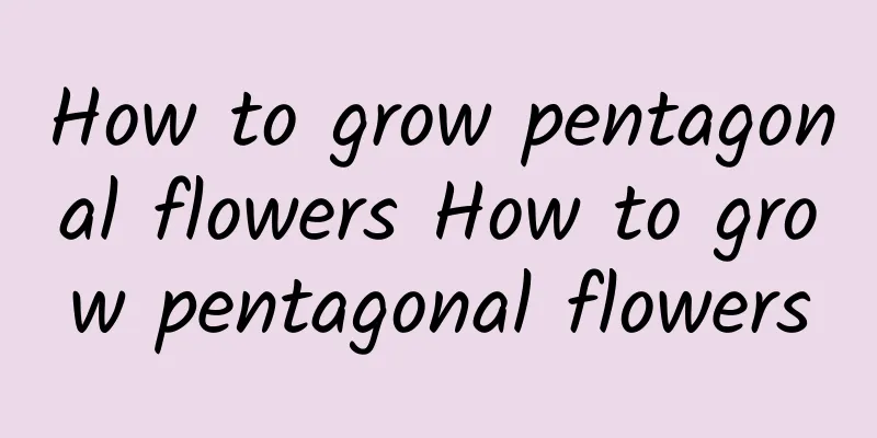 How to grow pentagonal flowers How to grow pentagonal flowers