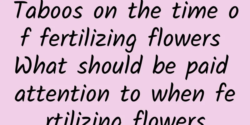 Taboos on the time of fertilizing flowers What should be paid attention to when fertilizing flowers