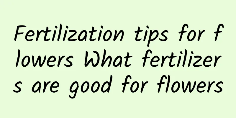 Fertilization tips for flowers What fertilizers are good for flowers