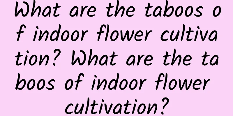 What are the taboos of indoor flower cultivation? What are the taboos of indoor flower cultivation?