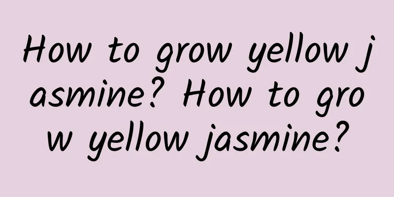 How to grow yellow jasmine? How to grow yellow jasmine?