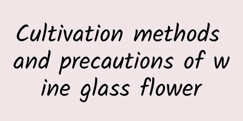 Cultivation methods and precautions of wine glass flower