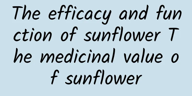 The efficacy and function of sunflower The medicinal value of sunflower