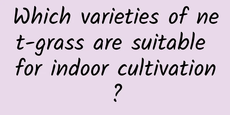 Which varieties of net-grass are suitable for indoor cultivation?