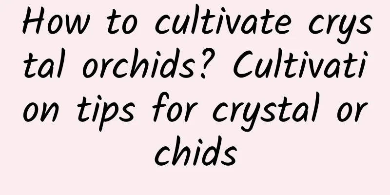 How to cultivate crystal orchids? Cultivation tips for crystal orchids