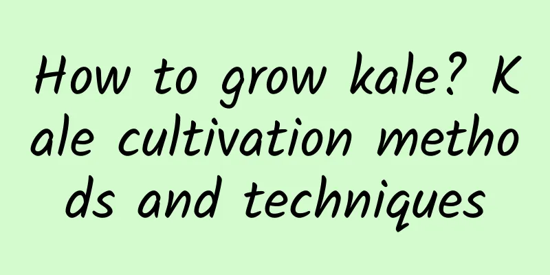 How to grow kale? Kale cultivation methods and techniques