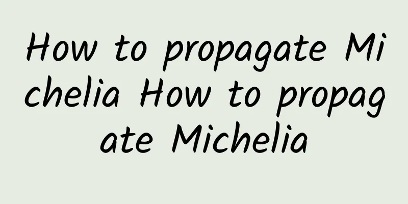 How to propagate Michelia How to propagate Michelia