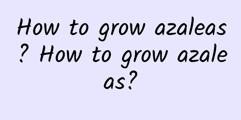 How to grow azaleas? How to grow azaleas?